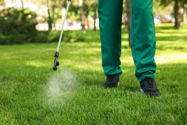Best Termite Control Services  in Womelsdorf, PA