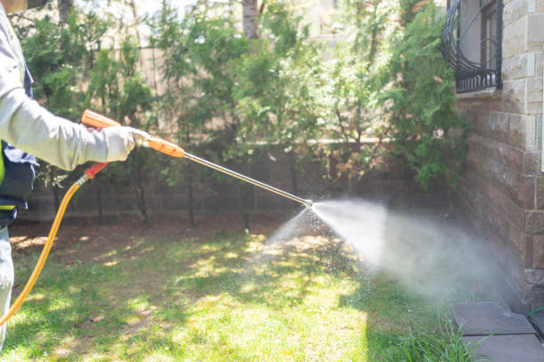 Best Pest Control for Homes  in Womelsdorf, PA