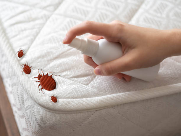 Best Pest Inspection Near Me  in Womelsdorf, PA