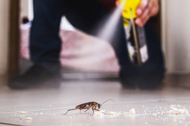 Best Best Pest Control Companies  in Womelsdorf, PA